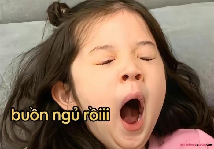 meme ngủ ngon siêu hài
